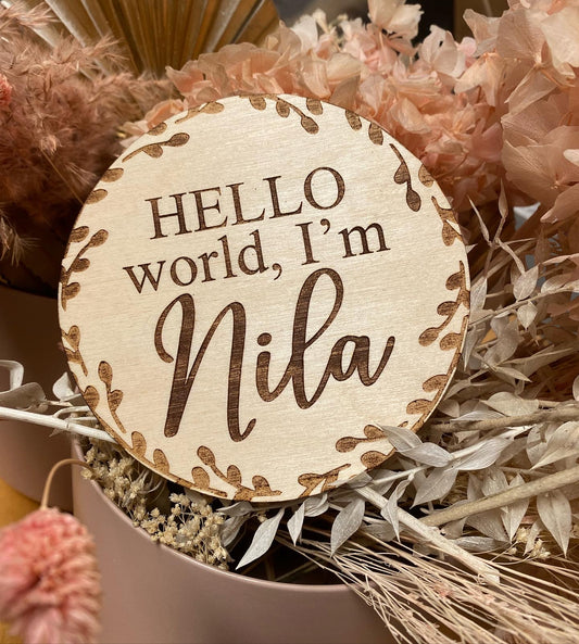 Custom Hello World Baby Sign with Name
