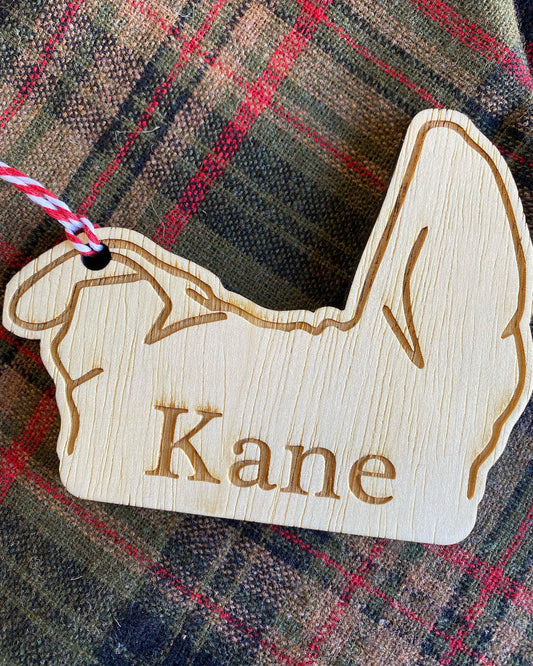 Custom Puppy Tag with Name