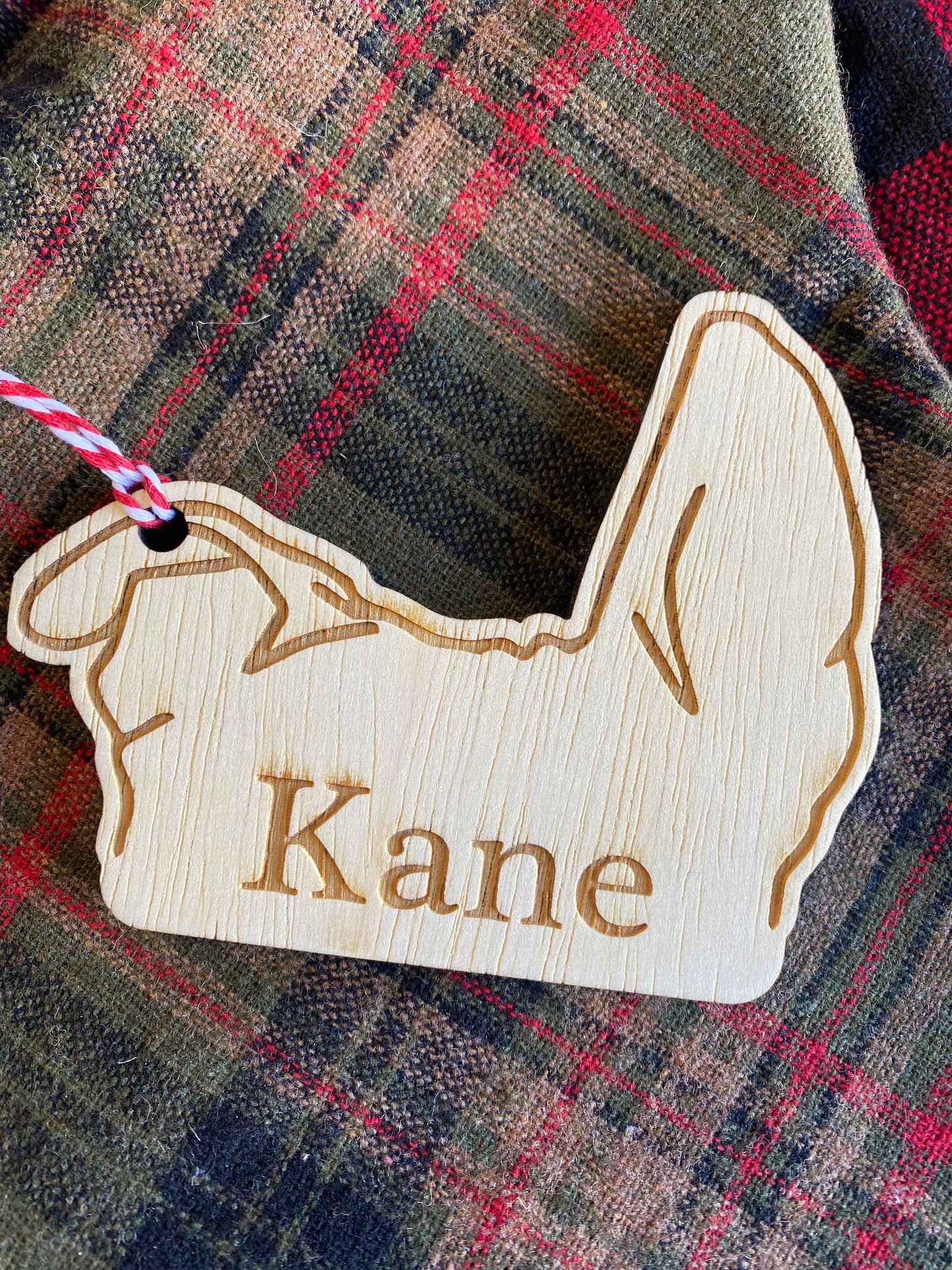 Custom Puppy Tag with Name